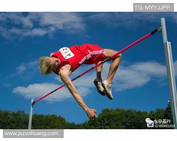 专访陈伟：深入探讨排球背后的成功秘诀与训练哲学