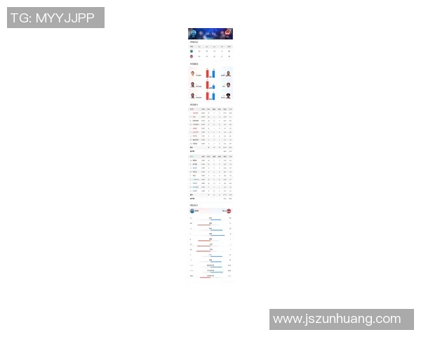 2013年热火队对阵黄蜂队全场精彩比赛录像回顾与分析